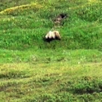 Screen Shot 2016-07-14 at 9.19.30 PM.jpg